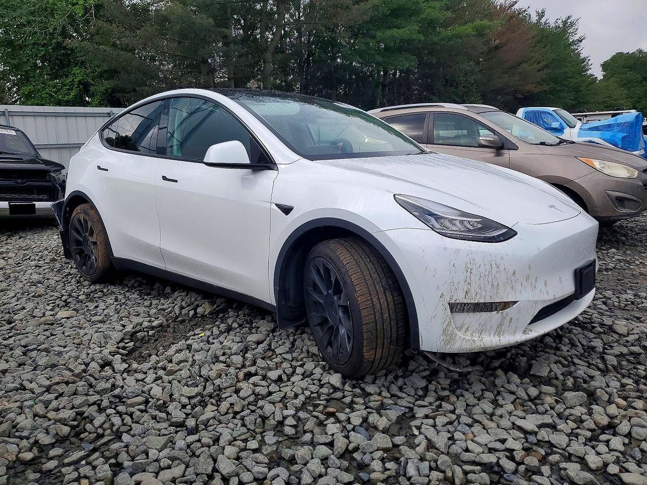 2023 TESLA MODEL Y — снимка 4