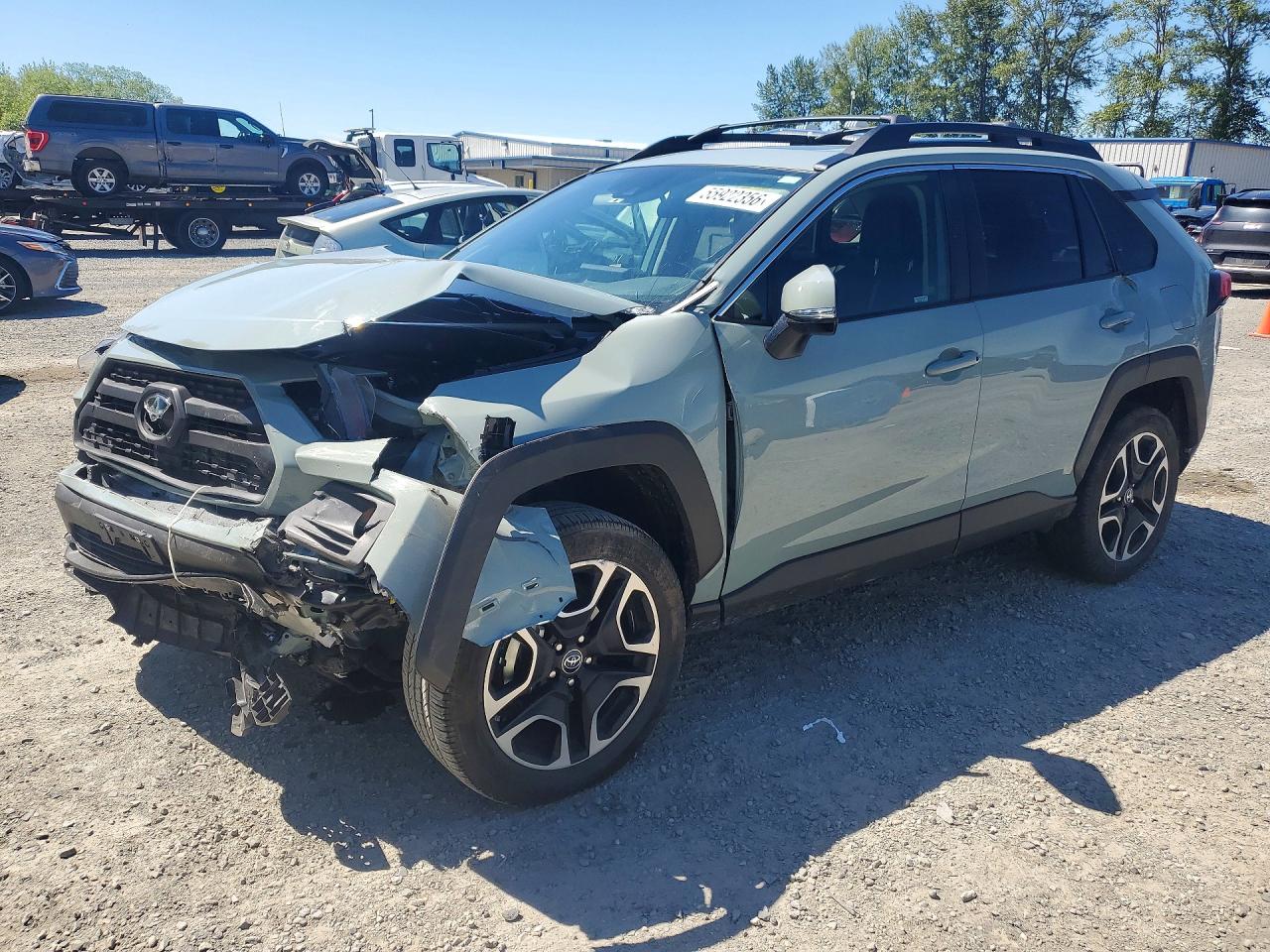 2019 TOYOTA RAV4 ADVENTURE