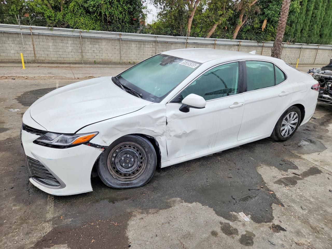 2023 TOYOTA CAMRY LE