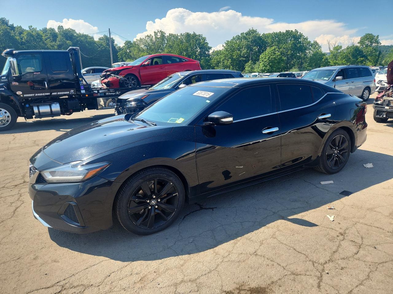 2019 NISSAN MAXIMA 3.5 SL