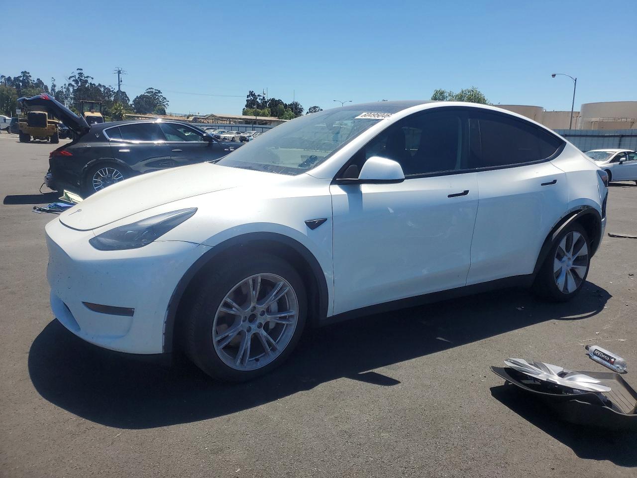 2024 TESLA Y