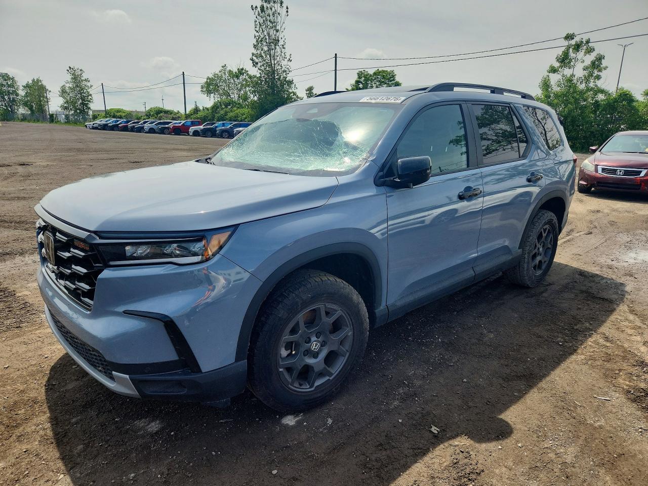 2025 HONDA PILOT TRAILSPORT