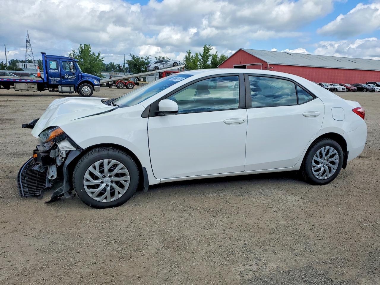 2019 TOYOTA COROLLA L