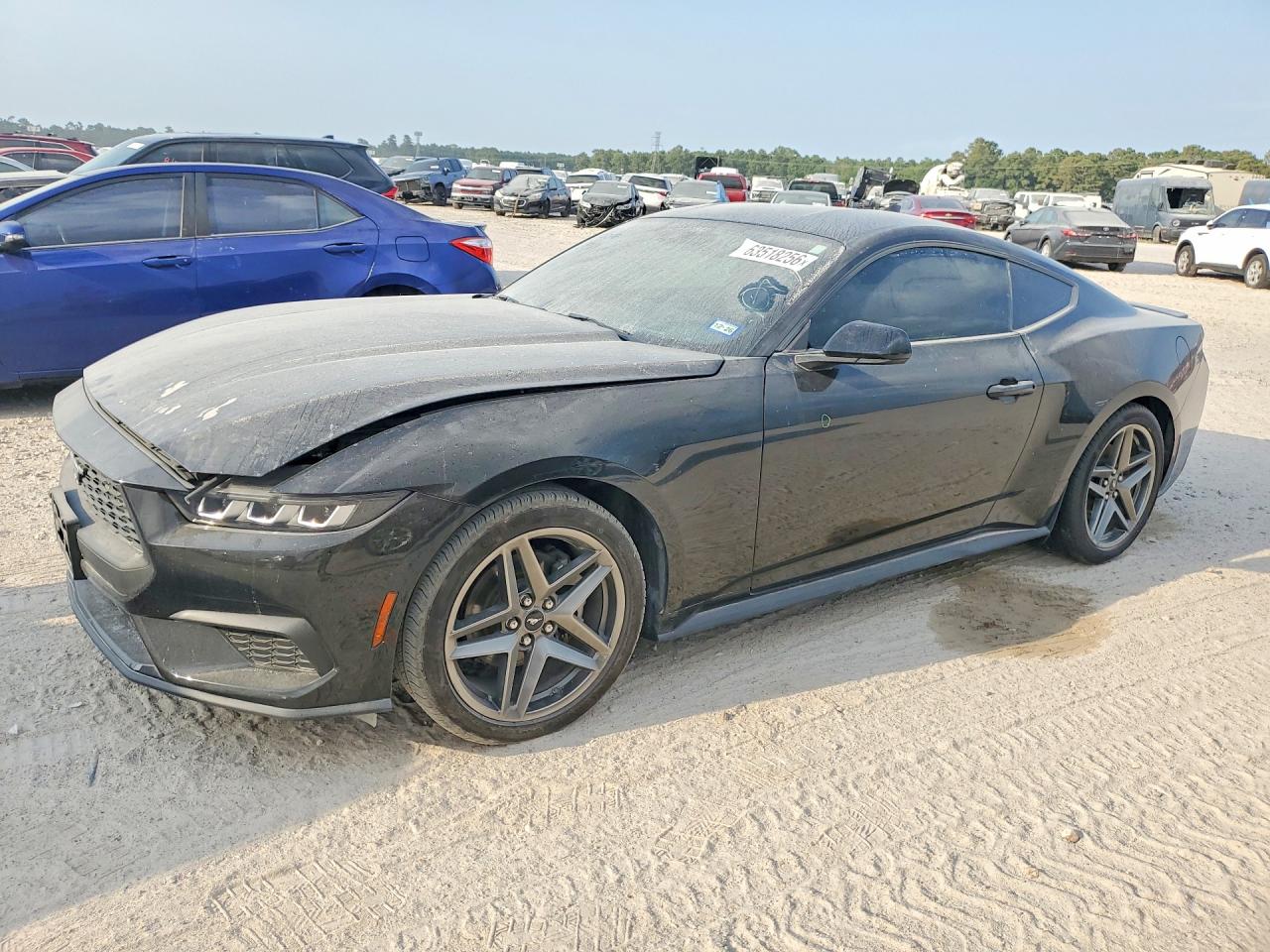 2025 FORD MUSTANG