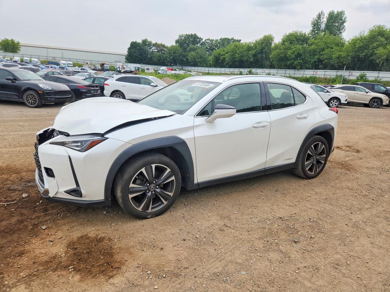 2019 LEXUS UX 250H