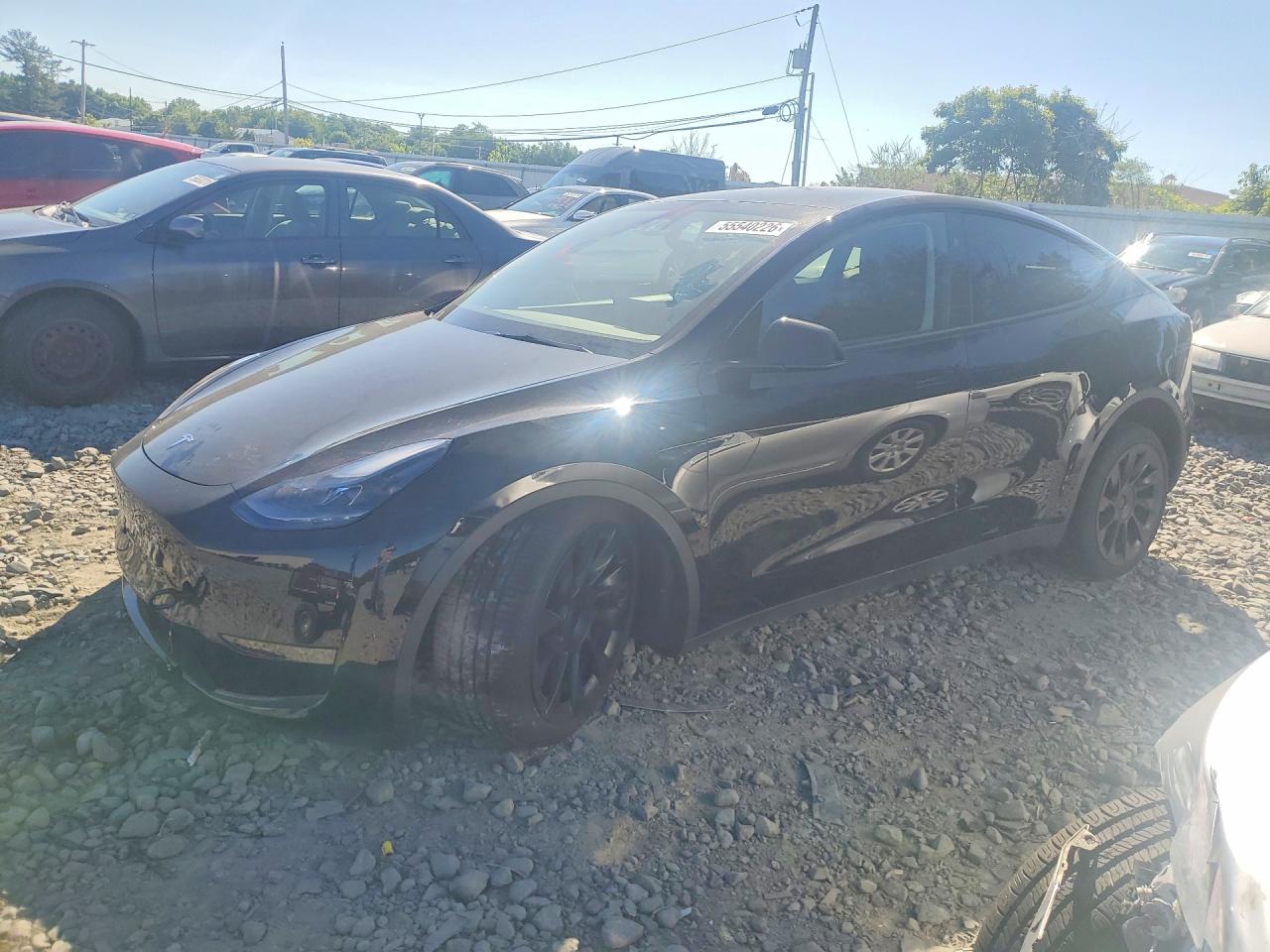 2025 TESLA MODEL Y