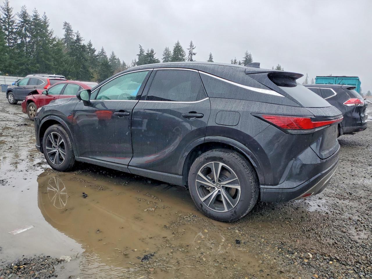 2024 LEXUS RX 350H PREMIUM+ — снимка 2