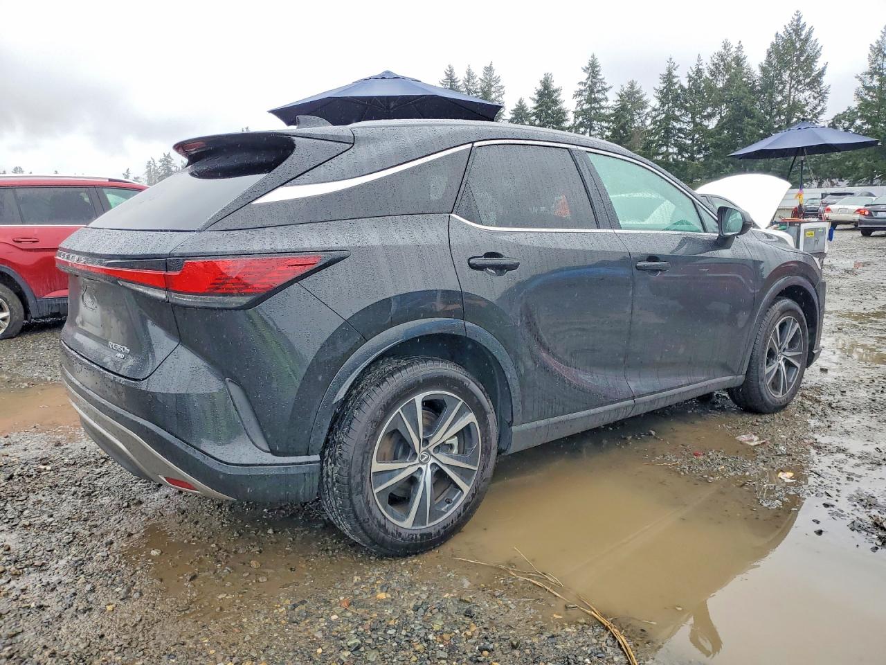 2024 LEXUS RX 350H PREMIUM+ — снимка 3