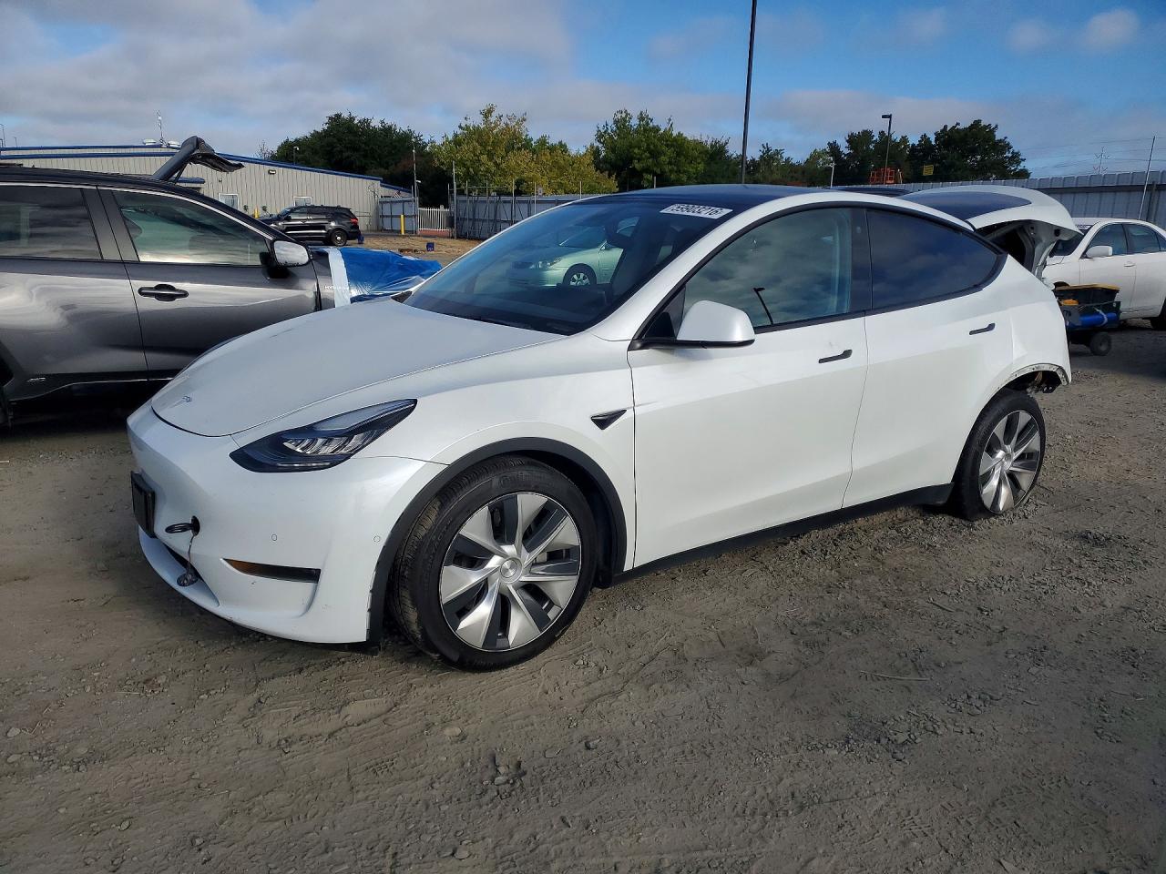 2021 TESLA MODEL Y