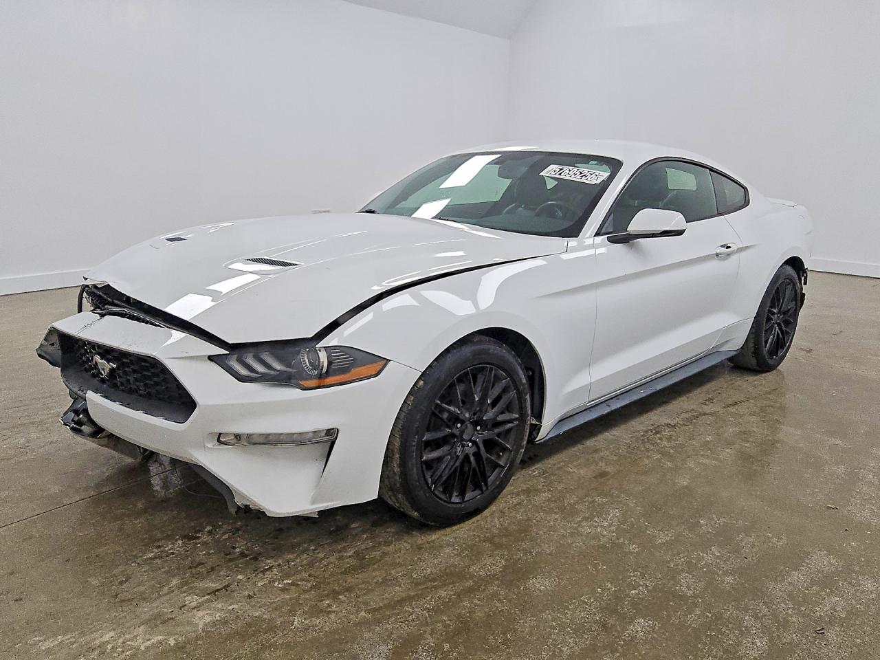 2019 FORD MUSTANG