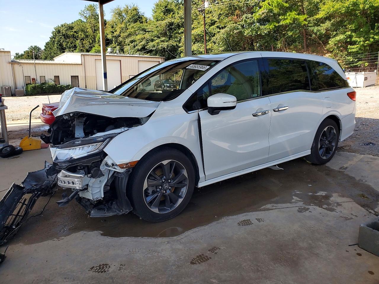 2022 HONDA ODYSSEY ELITE