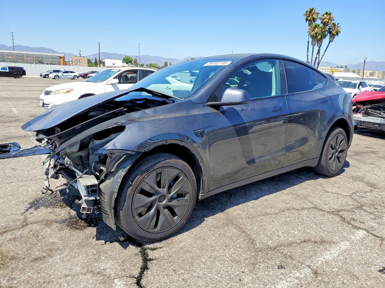 2025 TESLA MODEL Y