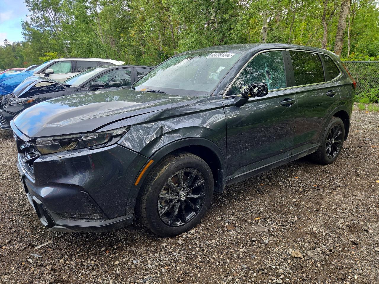 2025 HONDA CR-V EXL