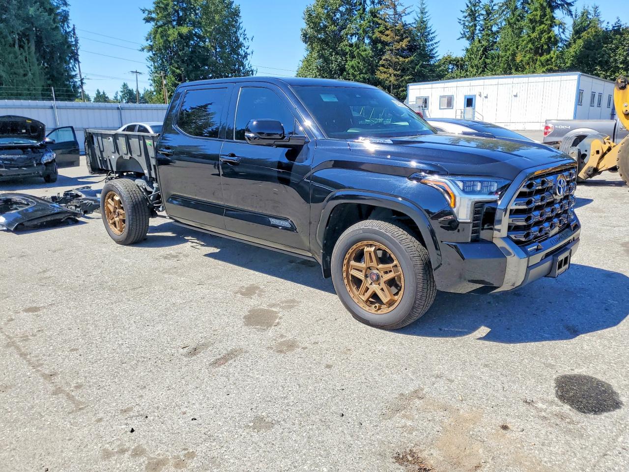 2022 TOYOTA TUNDRA PLATINUM HV — снимка 4
