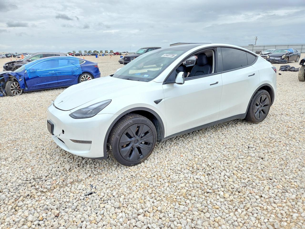 2025 TESLA MODEL Y