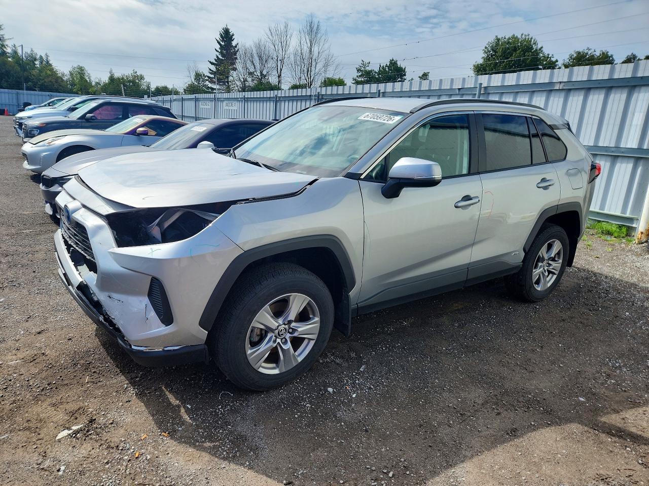 2024 TOYOTA RAV4 LE