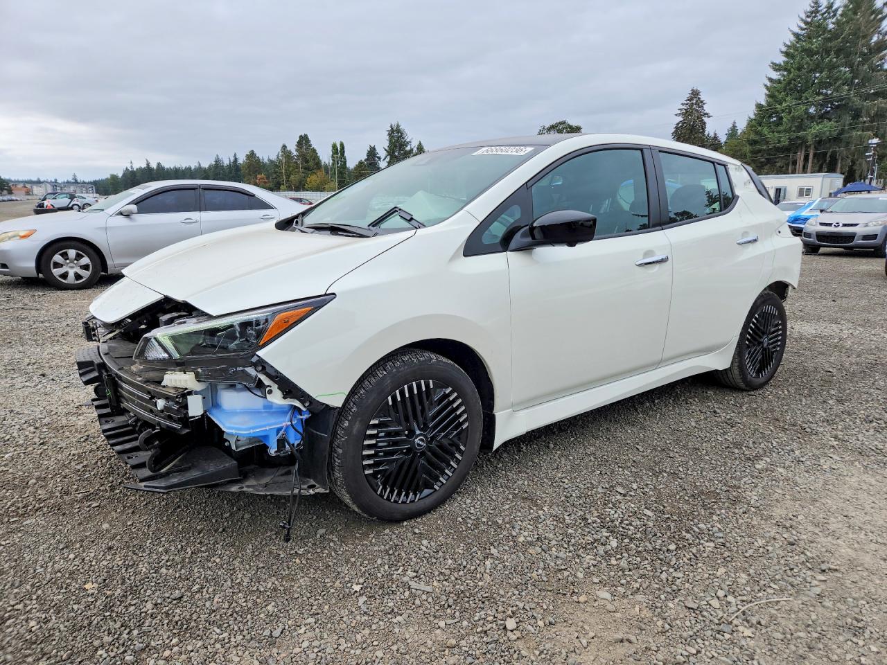 2025 NISSAN LEAF SV PLUS