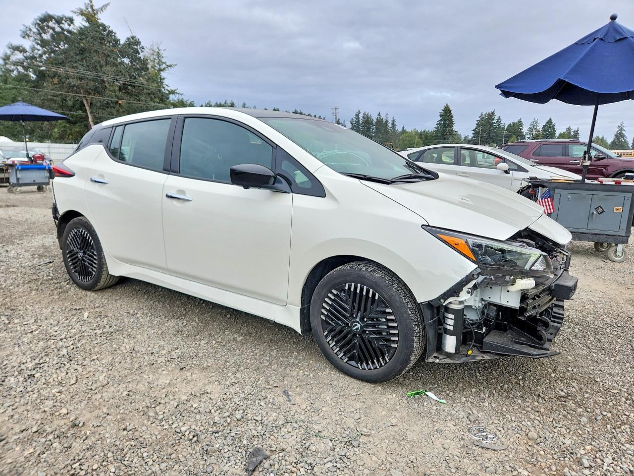 2025 NISSAN LEAF SV PLUS — снимка 4