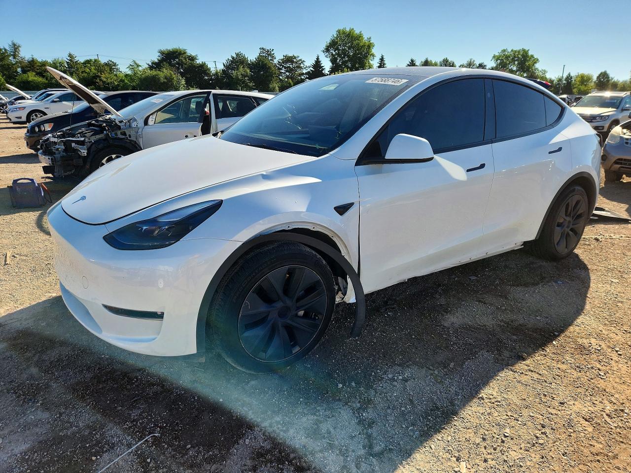 2024 TESLA MODEL Y
