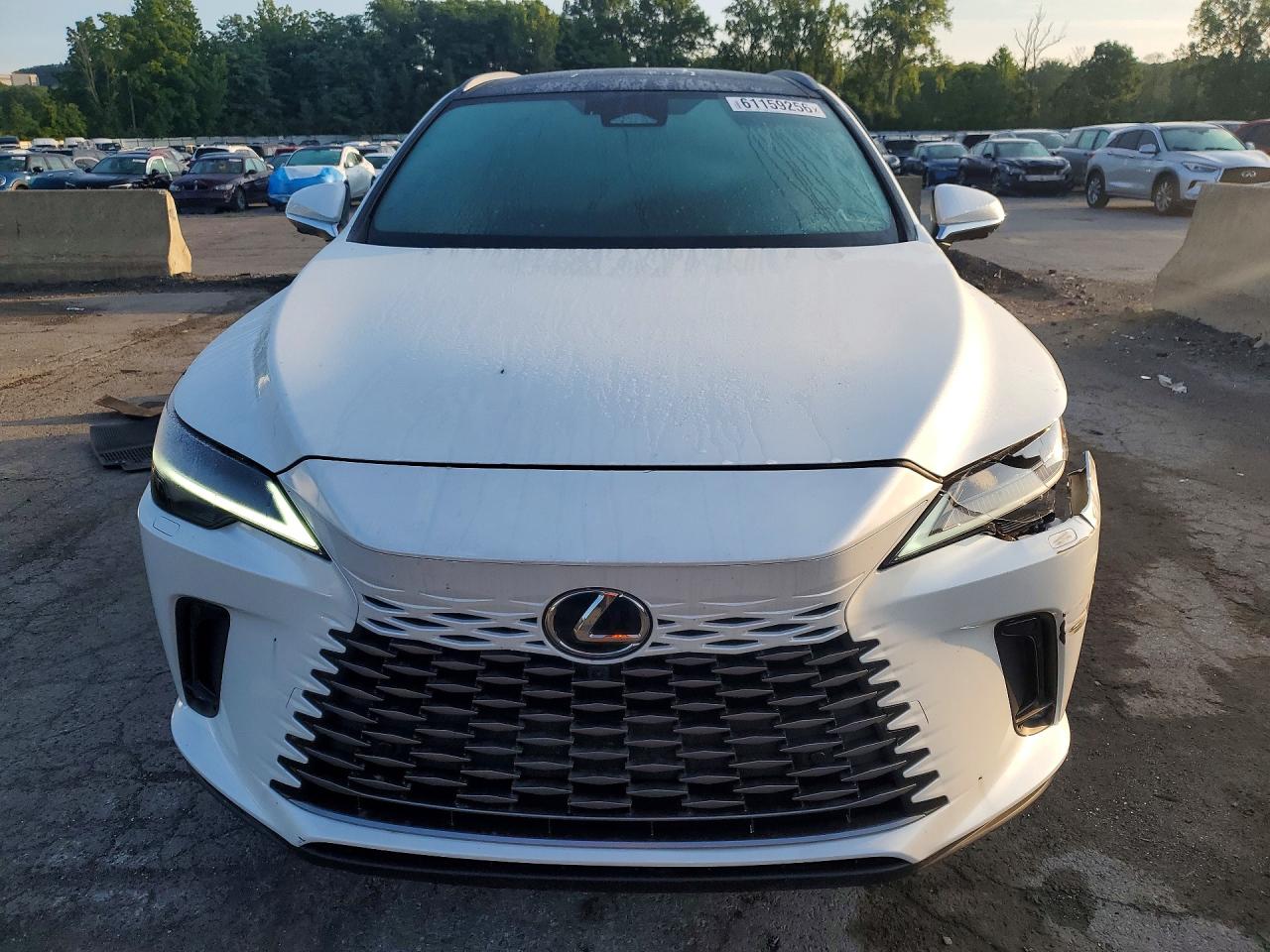 2025 LEXUS RX 450H+ LUXURY — снимка 5