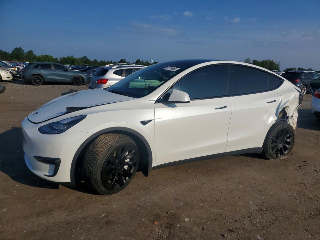 2021 TESLA MODEL Y