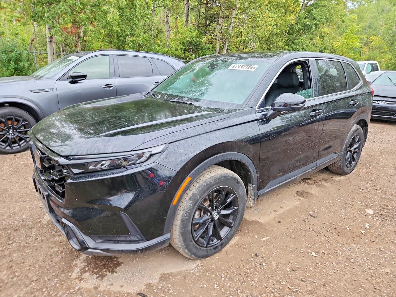 2025 HONDA CR-V EXL