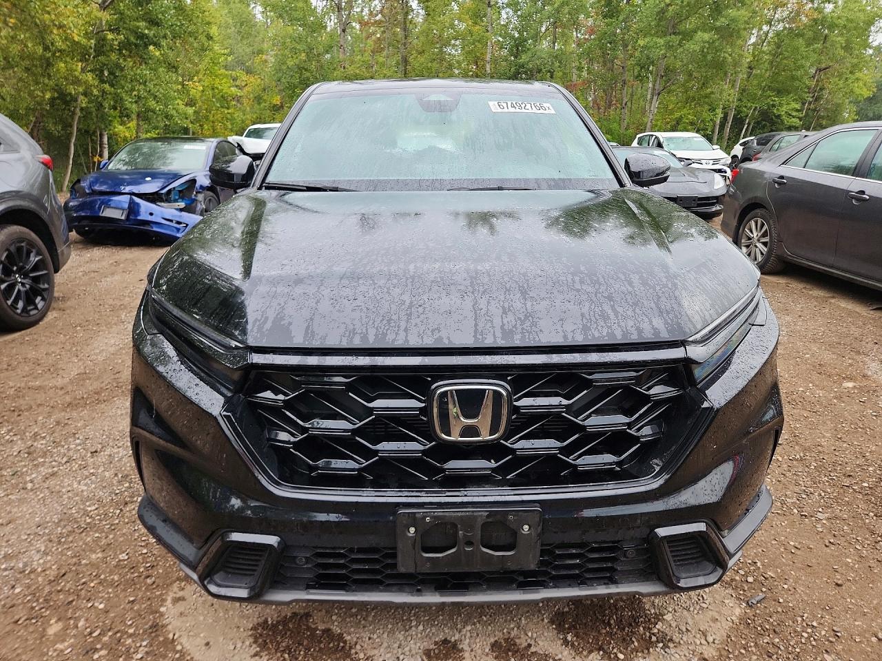 2025 HONDA CR-V EXL — снимка 5