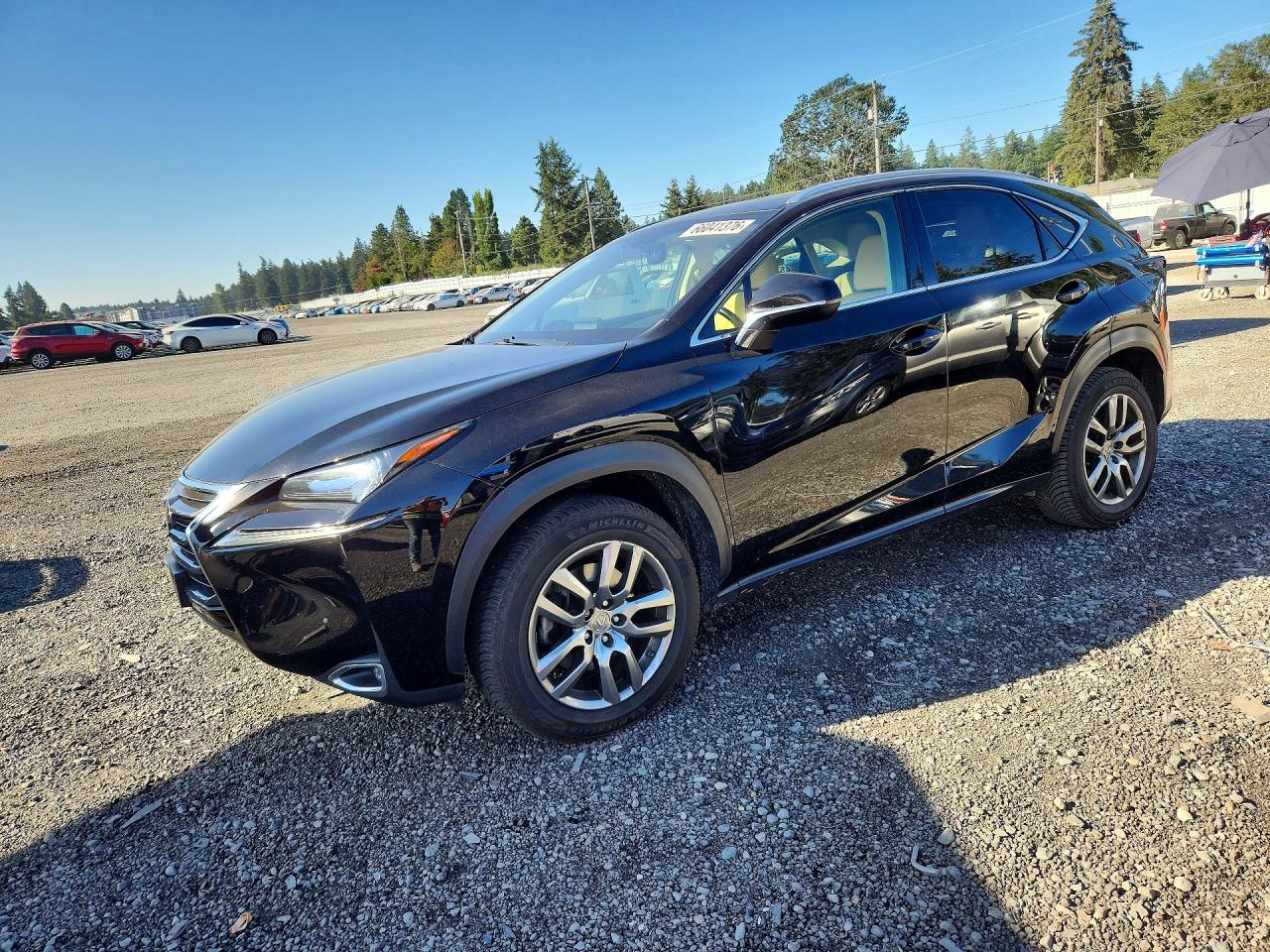 2015 LEXUS NX 200T