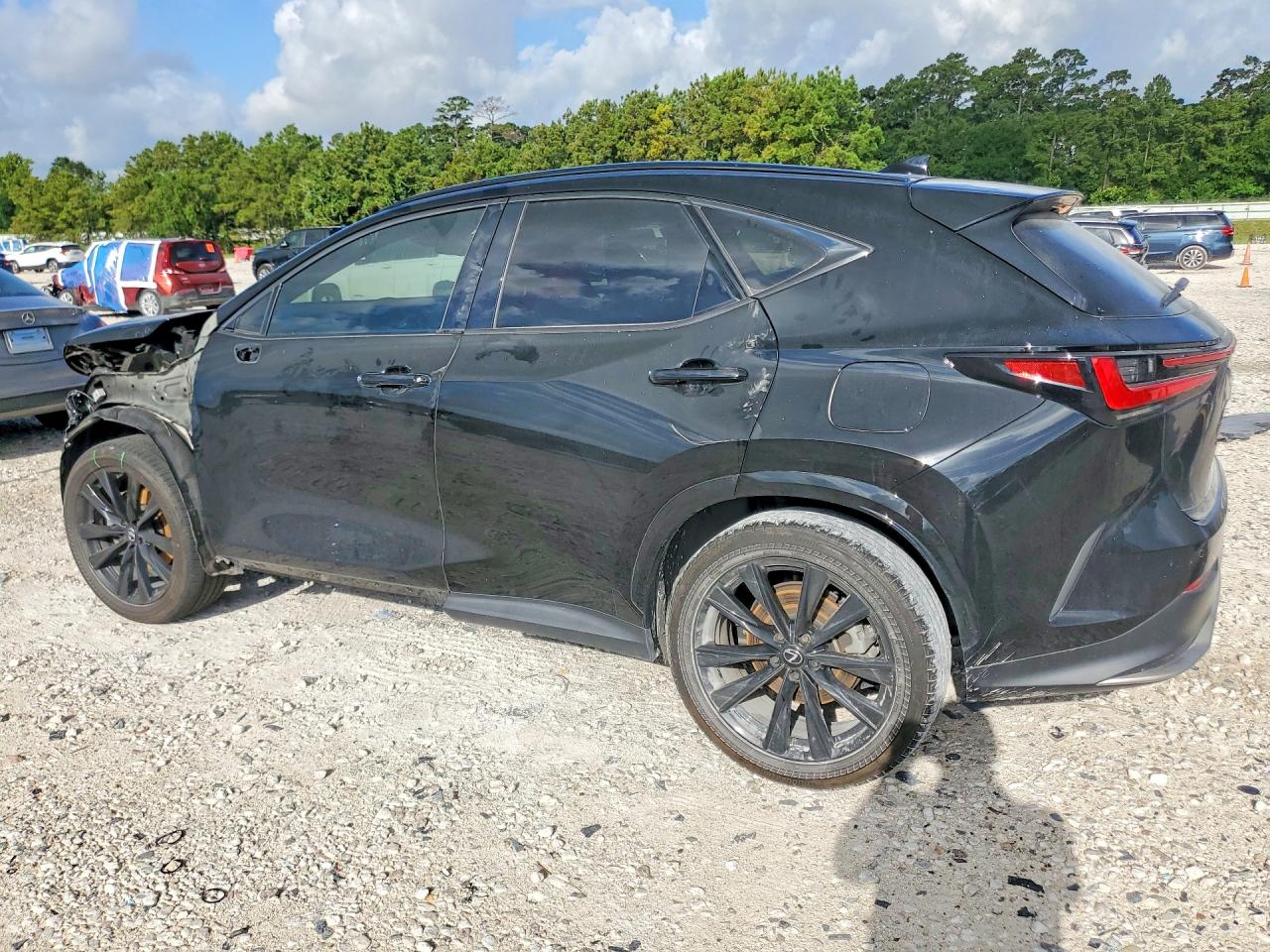2024 LEXUS NX 350 F SPORT HANDLING — снимка 2