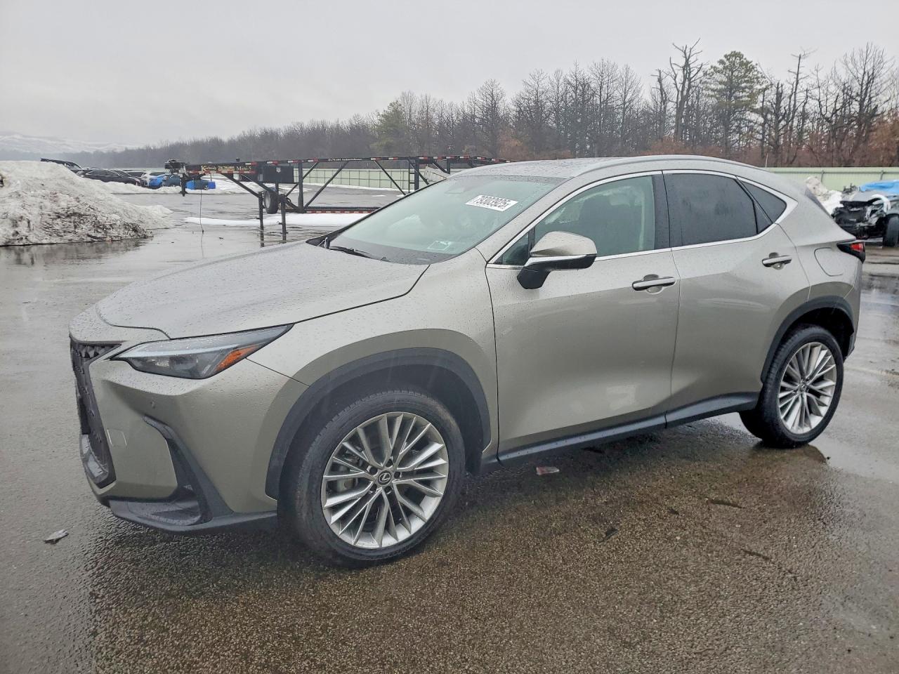 2025 LEXUS NX 350 PREMIUM