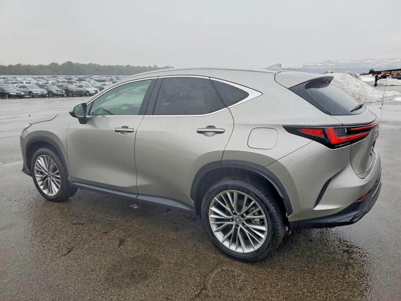 2025 LEXUS NX 350 PREMIUM — снимка 2