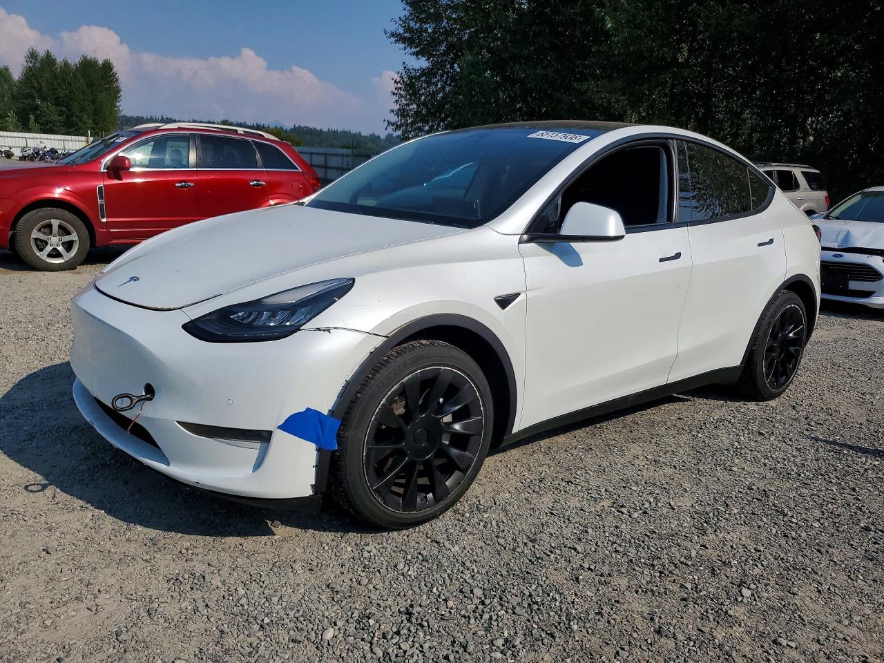 2020 TESLA MODEL Y