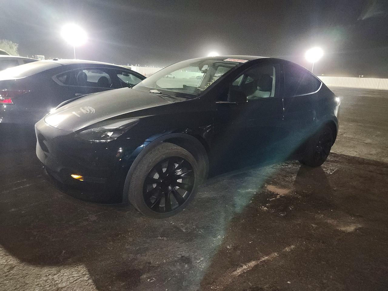 2025 TESLA MODEL Y