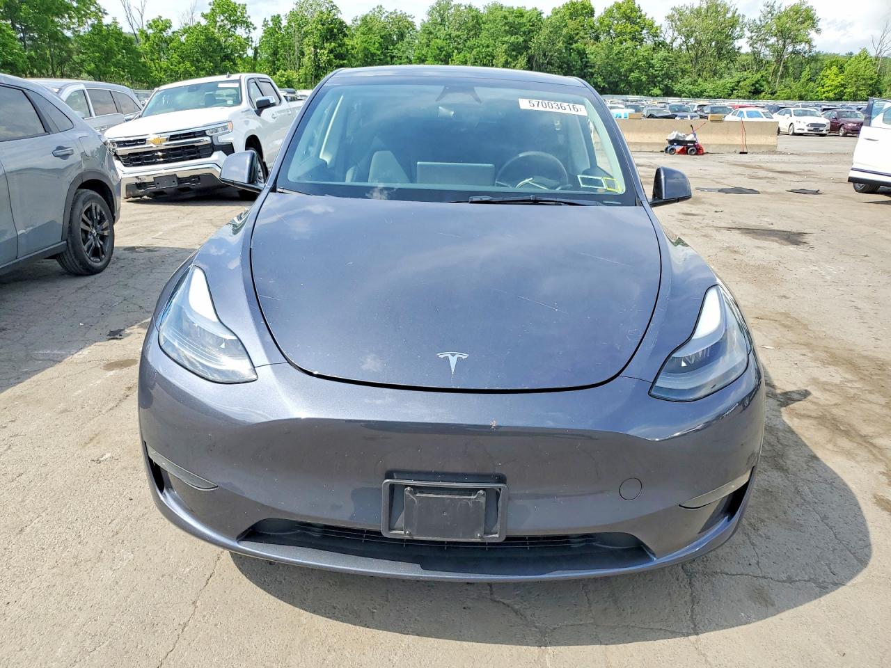 2023 TESLA MODEL Y — снимка 5