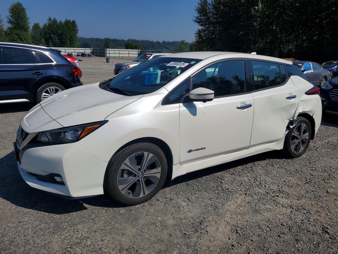 2019 NISSAN LEAF SL PLUS