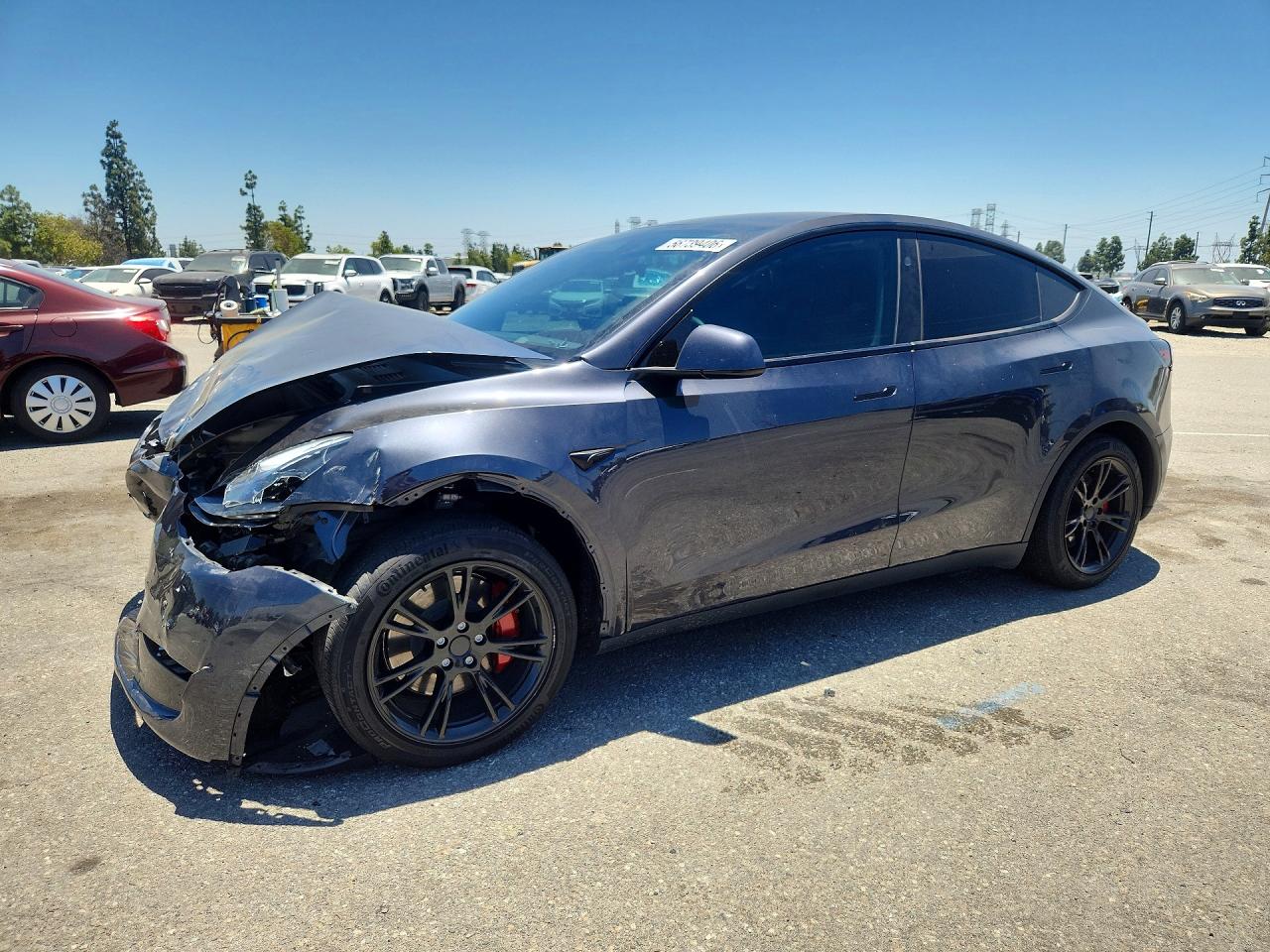 2025 TESLA MODEL Y