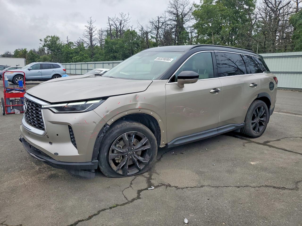 2024 INFINITI QX60 LUXE