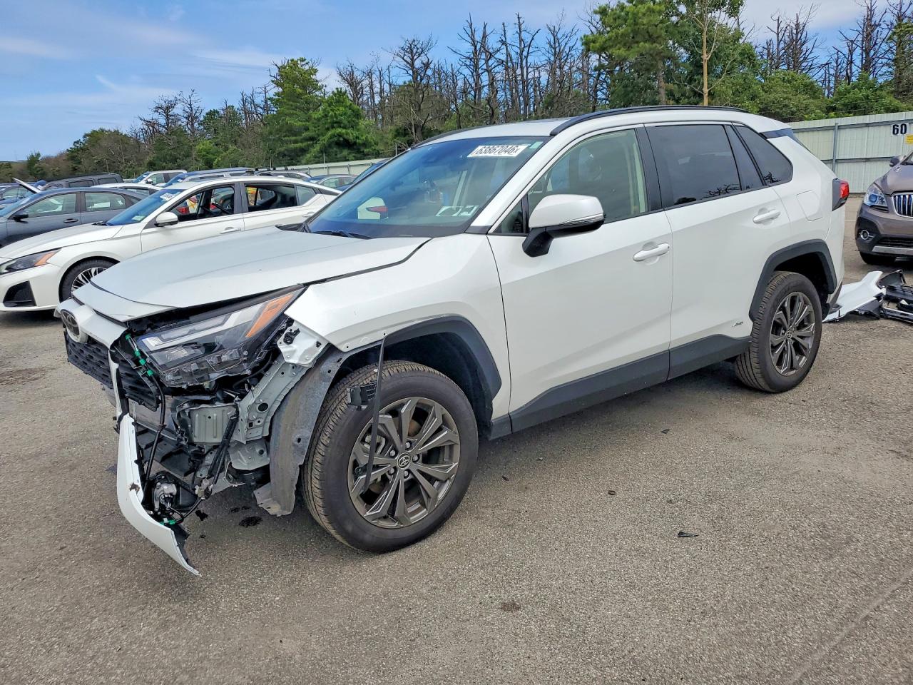 2025 TOYOTA RAV4 XLE PREMIUM