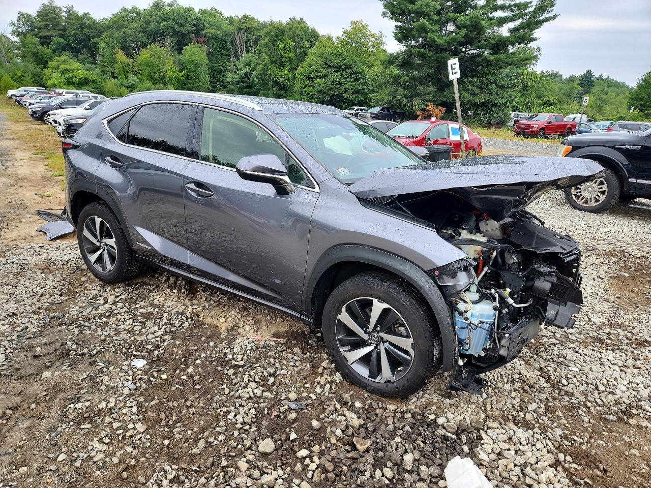2020 LEXUS NX 300H — снимка 4