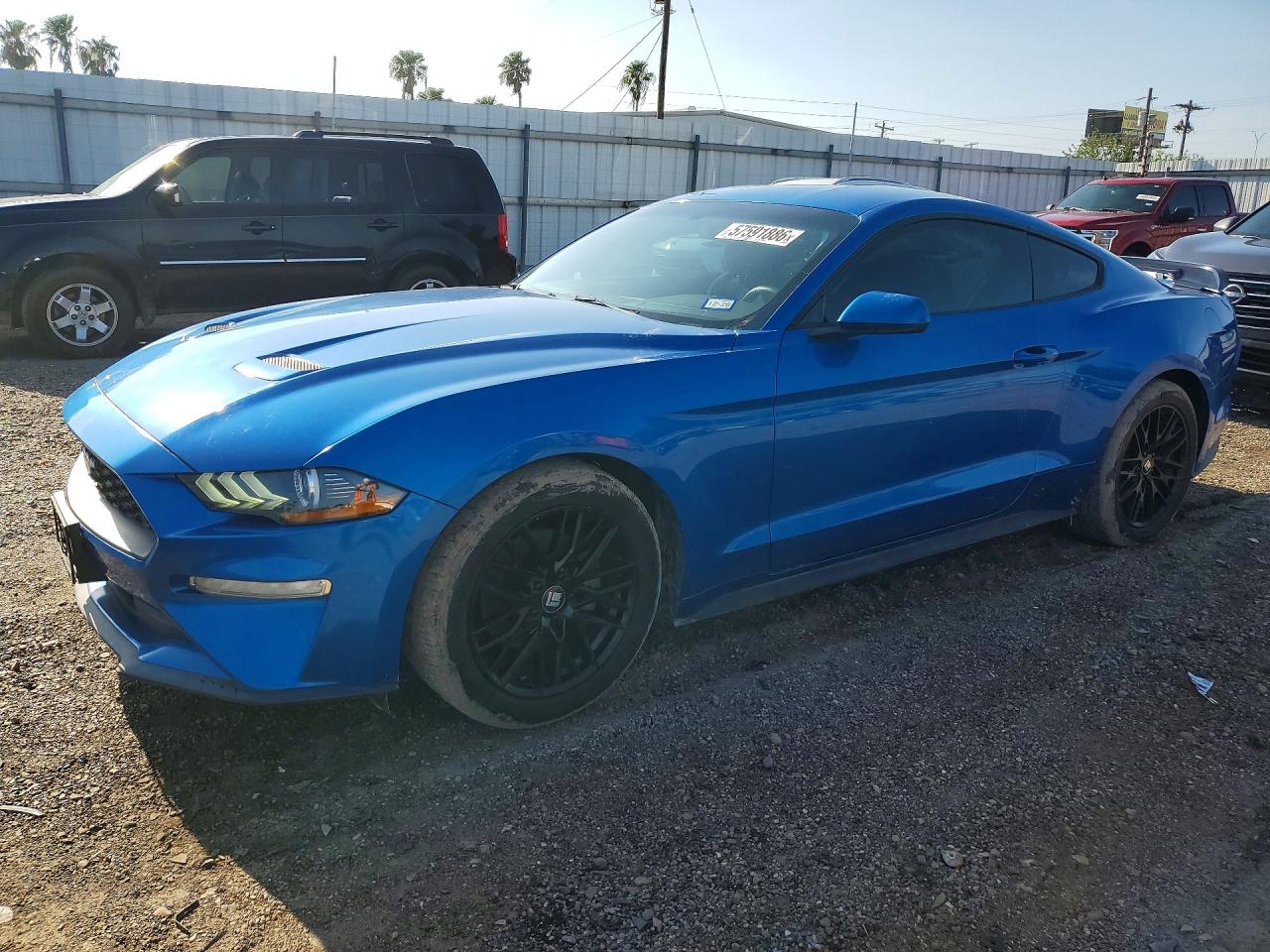 2019 FORD MUSTANG