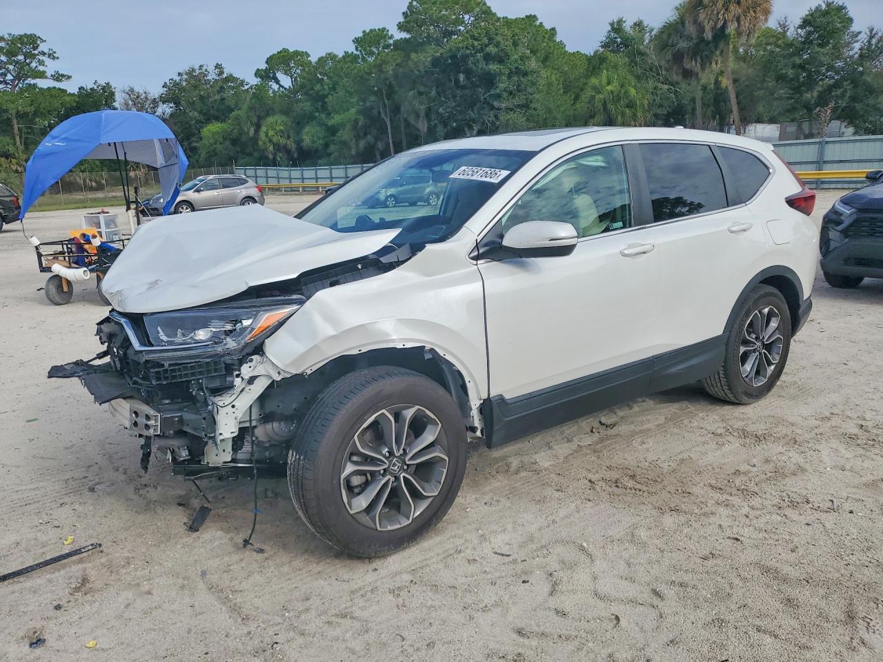 2022 HONDA CR-V EX