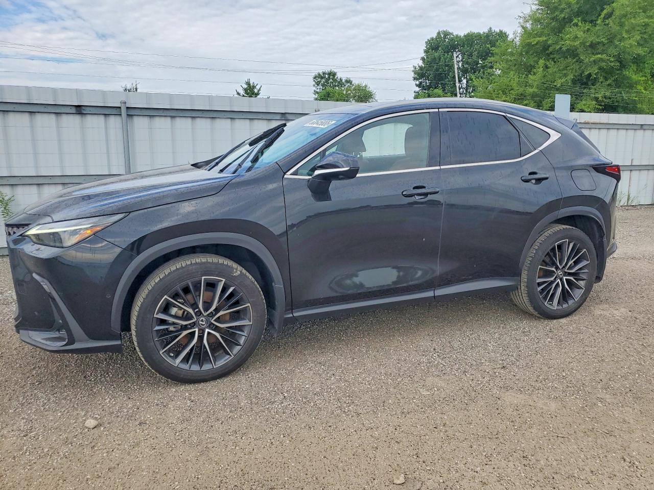 2022 LEXUS NX 350H