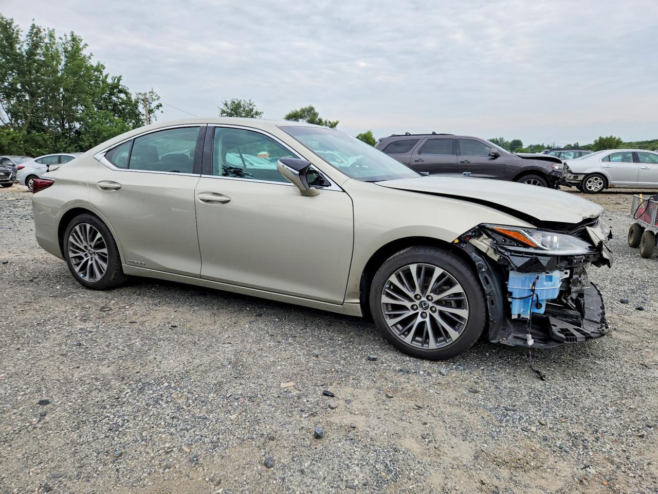 2019 LEXUS ES 300H — снимка 4