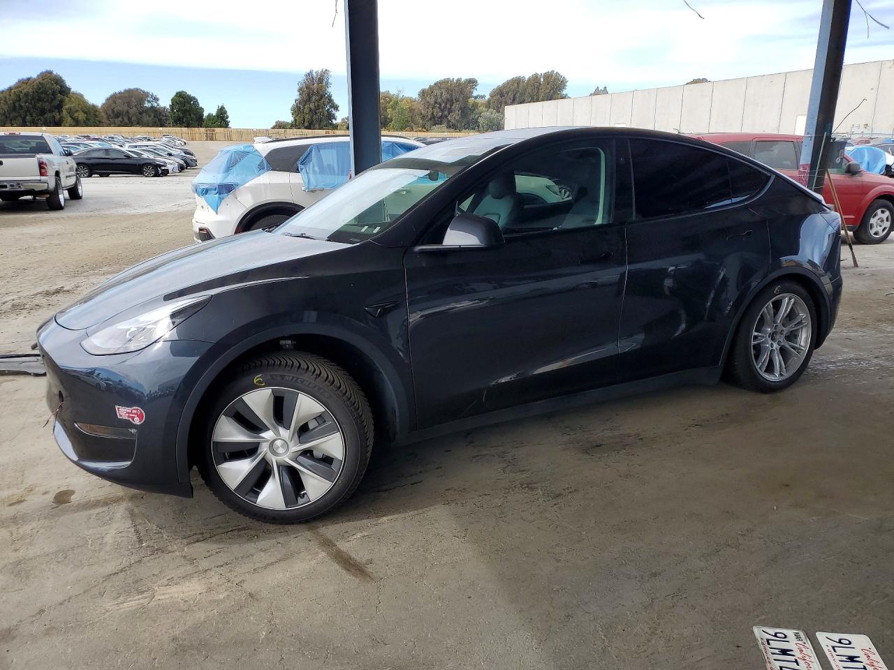 2024 TESLA MODEL Y