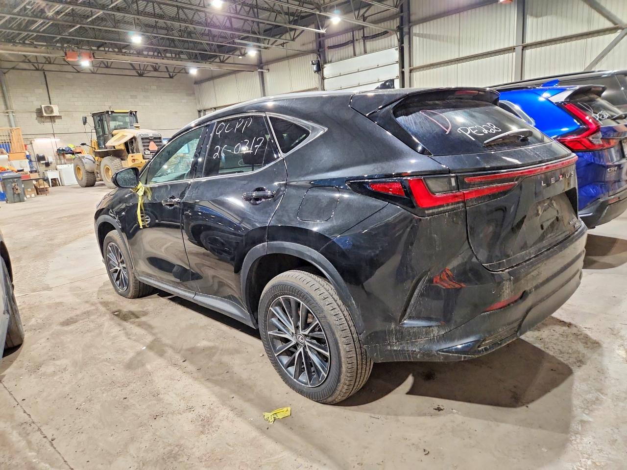 2025 LEXUS NX 350 PREMIUM — снимка 2