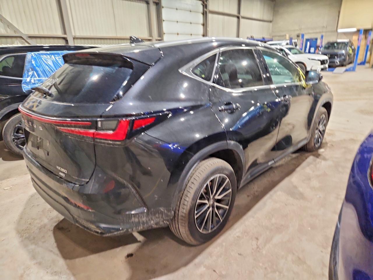 2025 LEXUS NX 350 PREMIUM — снимка 3