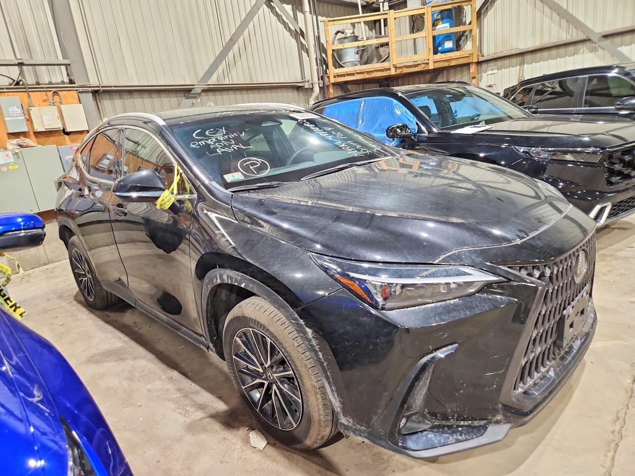 2025 LEXUS NX 350 PREMIUM — снимка 4