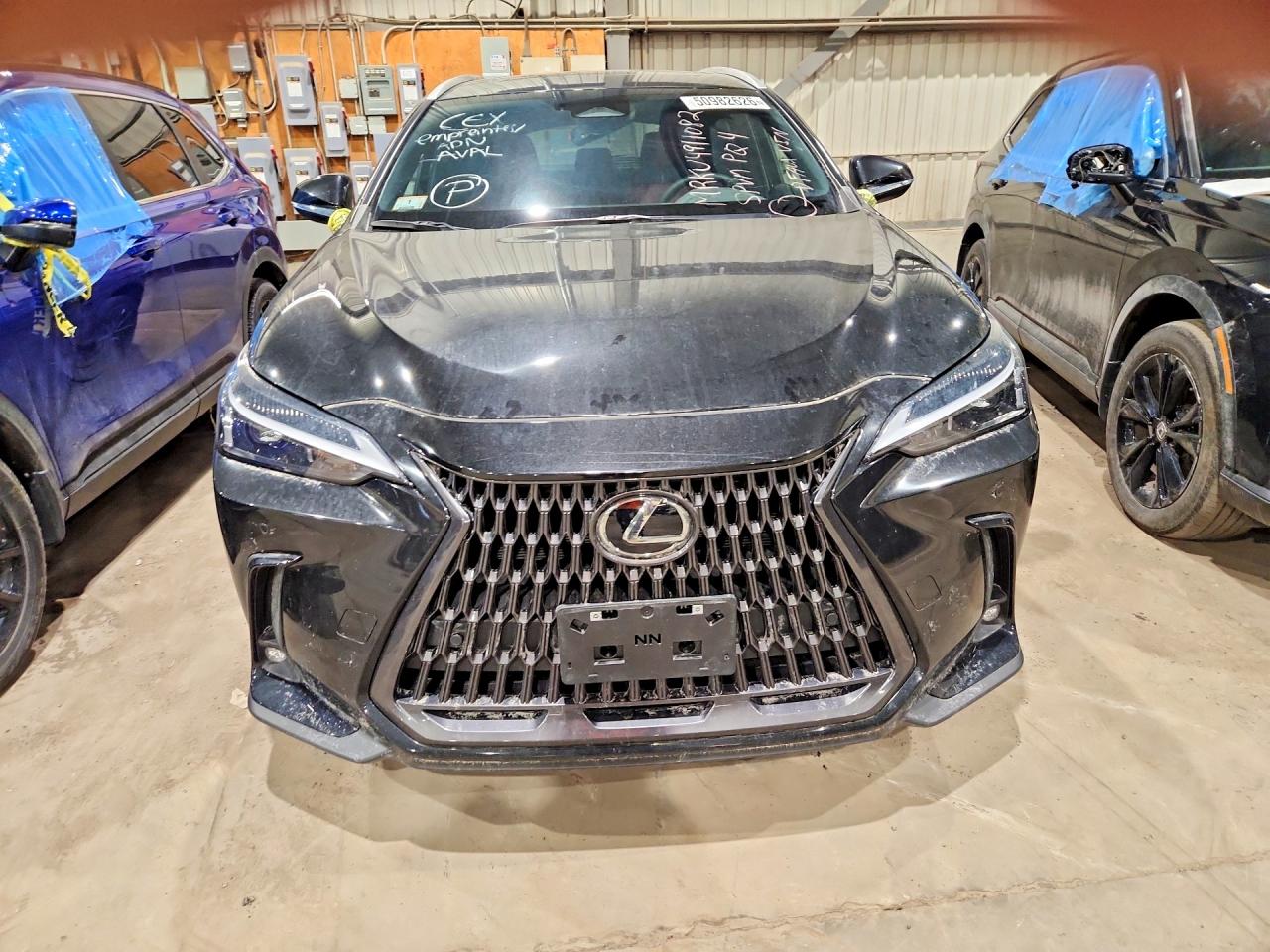 2025 LEXUS NX 350 PREMIUM — снимка 5
