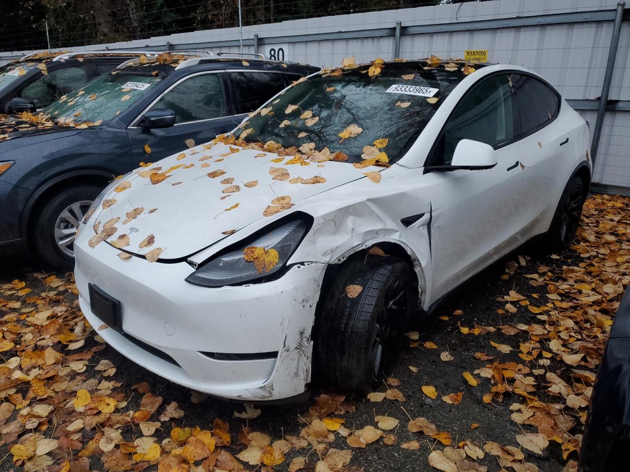 2024 TESLA MODEL Y