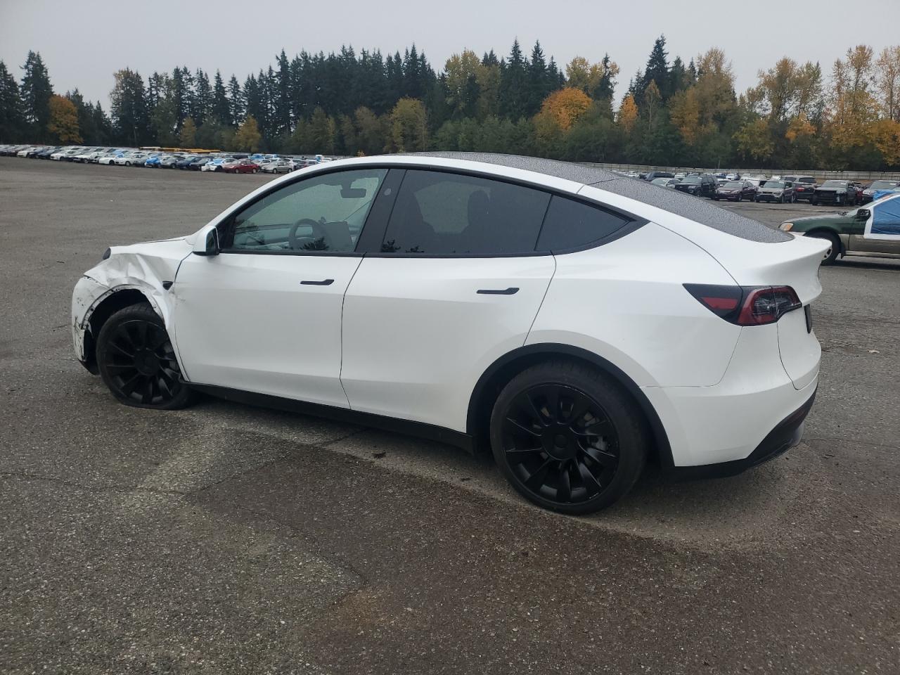 2024 TESLA MODEL Y — снимка 2